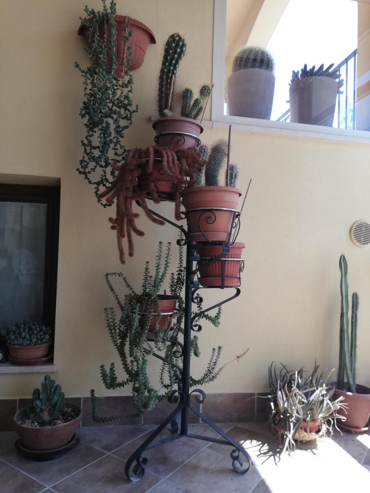 Un Passo Dai Trabocchi Homestay Villalfonsina